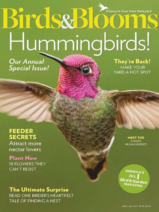 Cover image for Birds & Blooms